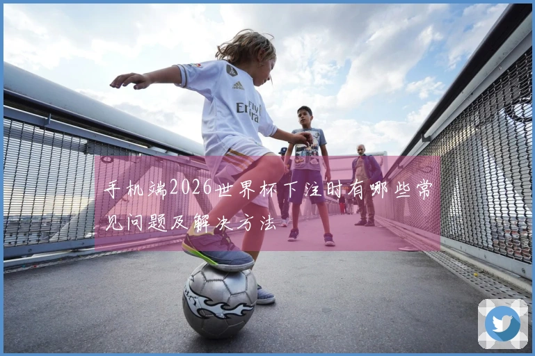 手机端2026世界杯下注时有哪些常见问题及解决方法