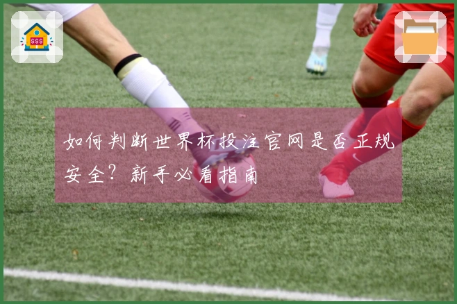 如何判断世界杯投注官网是否正规安全？新手必看指南