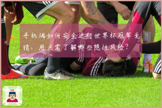 手机端如何安全进行世界杯冠军竞猜，用户需了解哪些隐性风险？