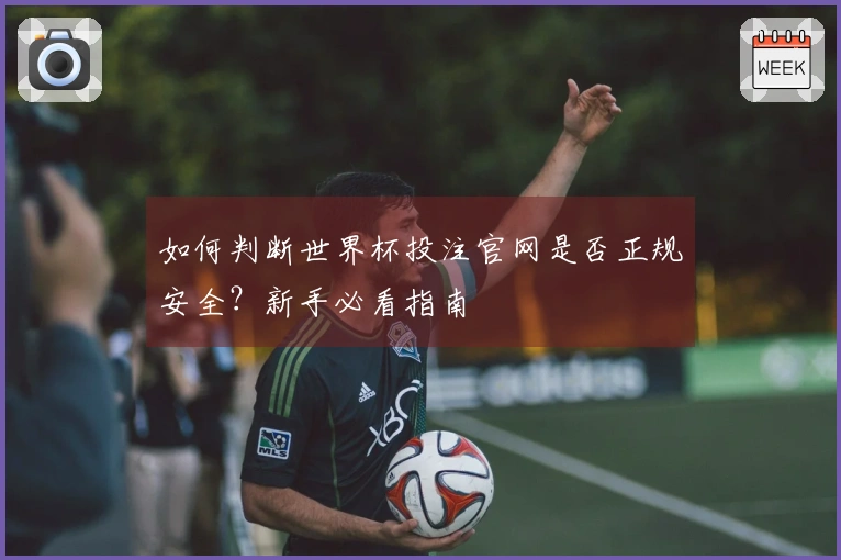 如何判断世界杯投注官网是否正规安全？新手必看指南