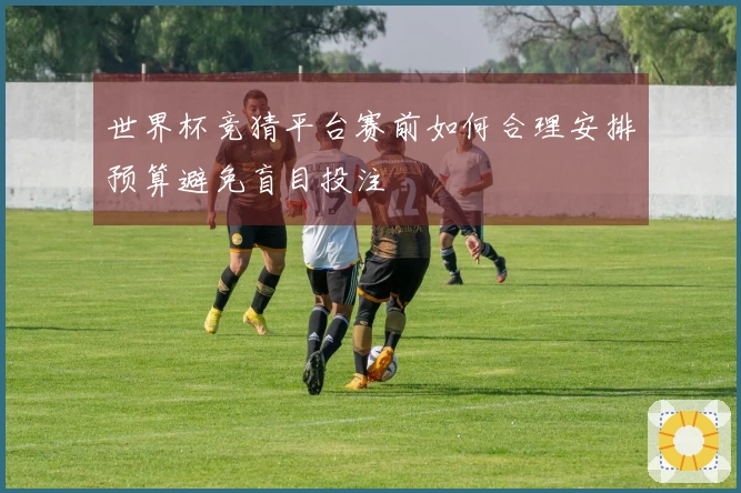 世界杯竞猜平台赛前如何合理安排预算避免盲目投注