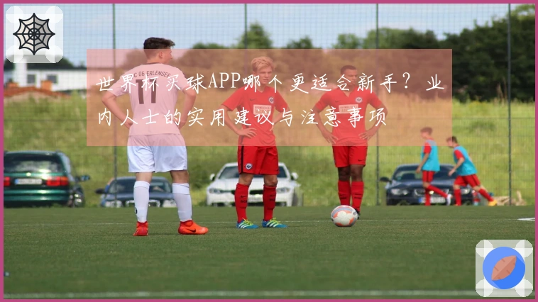 世界杯买球APP哪个更适合新手？业内人士的实用建议与注意事项
